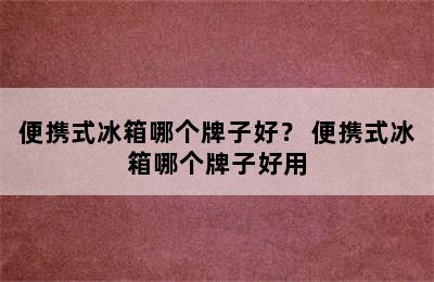 便携式冰箱哪个牌子好？ 便携式冰箱哪个牌子好用